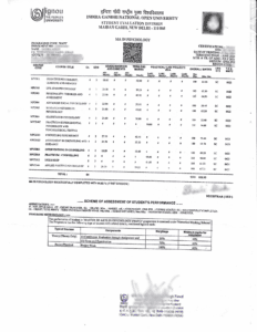 INGOU Transcript copy