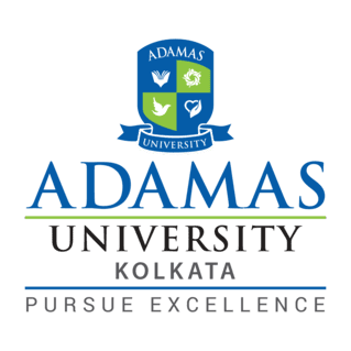 Get Transcripts from Adamas University