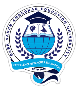 Get Transcripts from Baba Saheb Ambedkar Education University