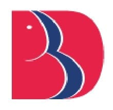 Get Transcripts from Babu Banarasi Das University