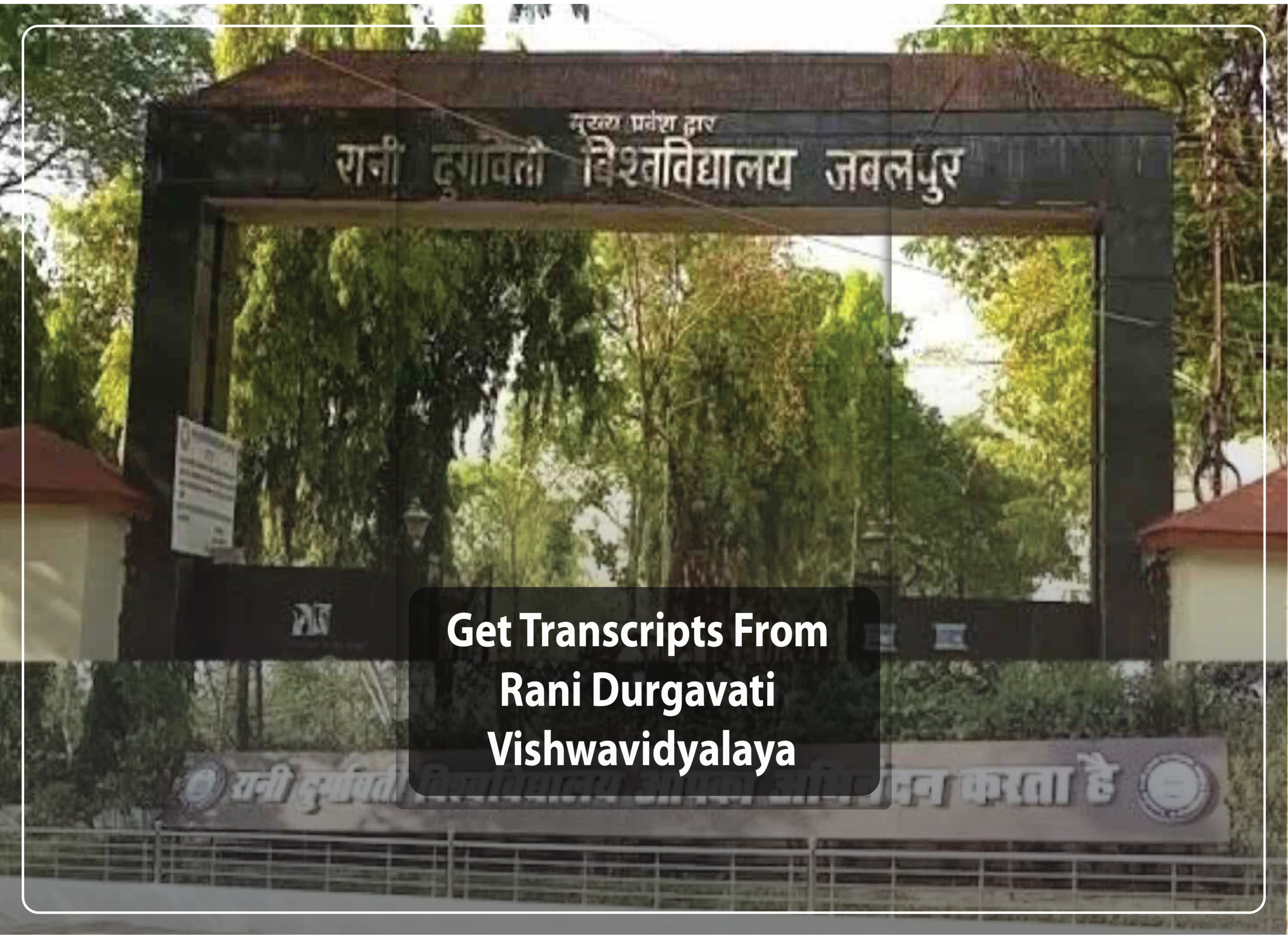 Transcripts From Rani Durgavati Vishwavidyalaya